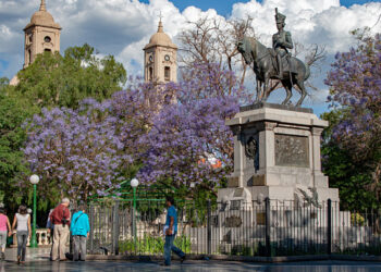 Hablemos de Salud Mental: realizarán una jornada de charlas y actividades en la Plaza Pringles