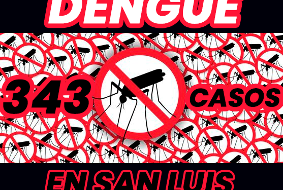 San Luis la provincia con más casos de dengue en Cuyo