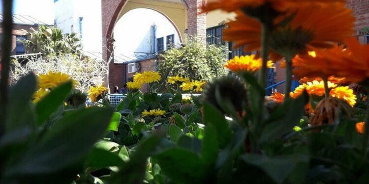 COMUNICADO de la EPA Nº11 Dr. Carlos Juan Rodriguez