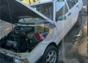 San Luis: tras un allanamiento, la Policía secuestró un auto, armas de fuego, cartuchos y municiones.
