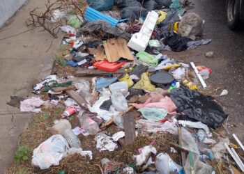 Barrio Cerro de la Cruz: Limpiaron gran cantidad de basura en espacios verdes y bulevares