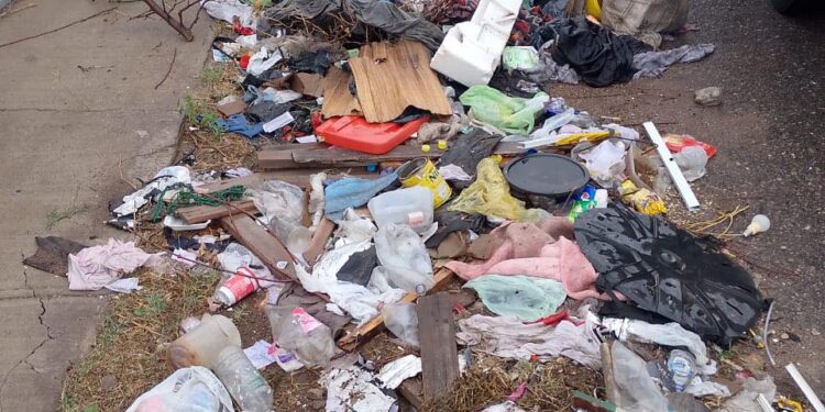 Barrio Cerro de la Cruz: Limpiaron gran cantidad de basura en espacios verdes y bulevares