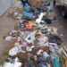 Barrio Cerro de la Cruz: Limpiaron gran cantidad de basura en espacios verdes y bulevares