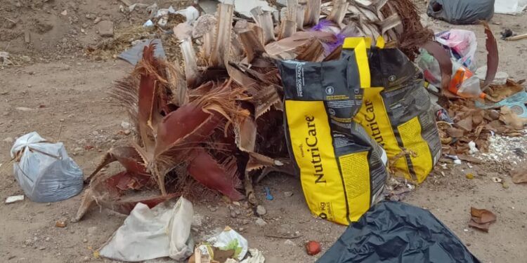 La basura en los barrios de San Luis, sigue sin solucionarse