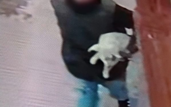 Se robaban un perro. Quedaron detenidos