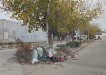 Cuando se resuelve la limpieza de la ciudad y barrios?