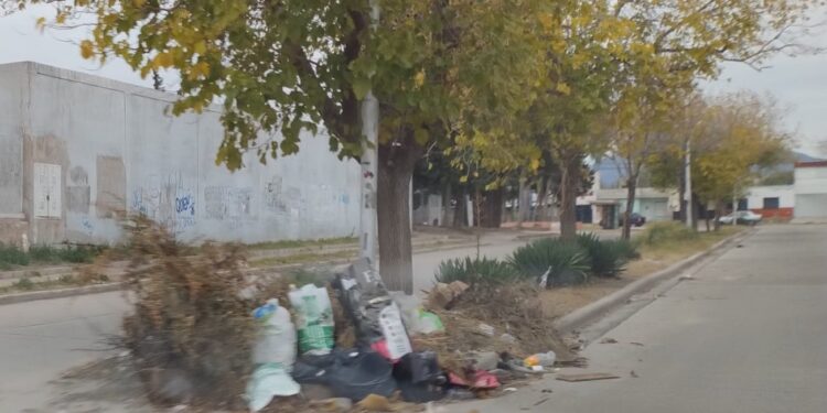 Cuando se resuelve la limpieza de la ciudad y barrios?