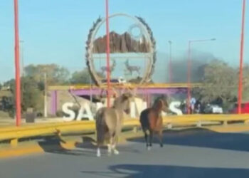 Ingreso complicado a San Luis esta mañana