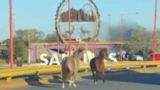 Ingreso complicado a San Luis esta mañana