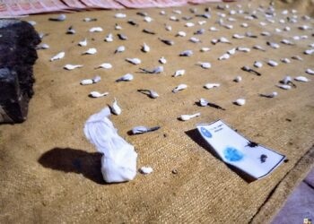 La Policía incautó droga valuada en casi 5 millones de pesos