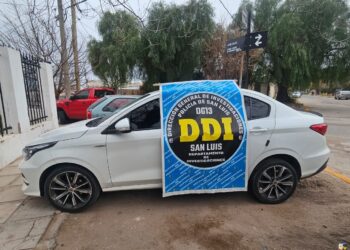 La Policía retuvo un automóvil que tenía pedido de secuestro por robo