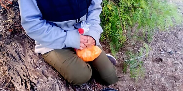 Intervención policial evitó un intento de suicidio