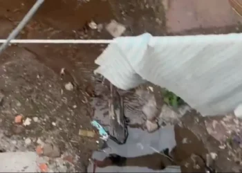 Vecinos del barrio José Hernández sin agua por una llave rota e inacción municipal