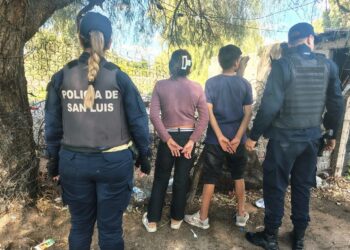 Adolescentes demorados tras arrebatarle el celular a una mujer en la feria del trueque