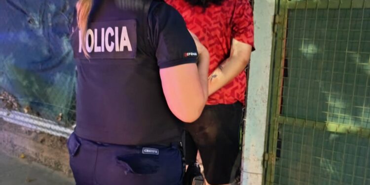 Aprehendieron a una mujer tras un presunto intento de robo
