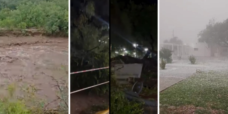 El temporal hizo destrozos en Plaza Pringles y en varios sectores de la ciudad