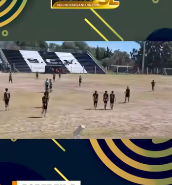 Agresión a arbitro en el futbol juvenil de la Liga de San Luis.