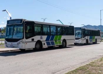 Transpuntano: el boleto sube casi un 15% y pasará a costar $1.000 desde el 24 de marzo