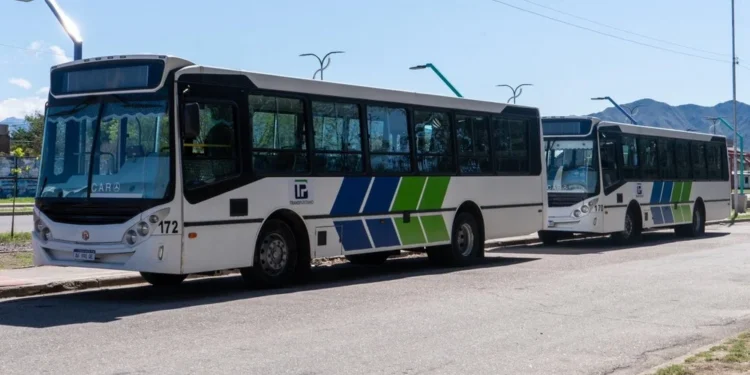 Transpuntano: el boleto sube casi un 15% y pasará a costar $1.000 desde el 24 de marzo