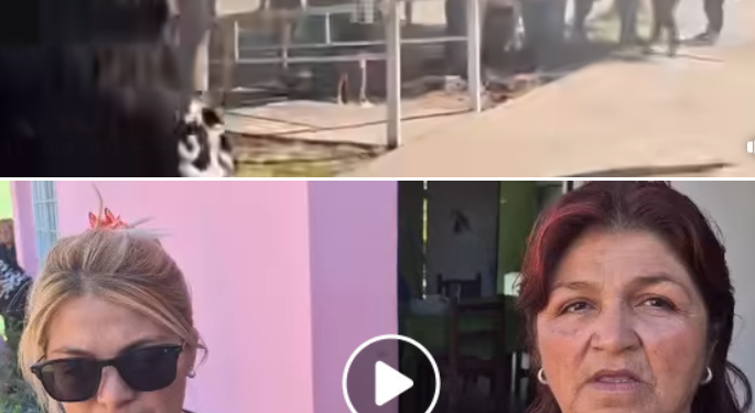 Familiares de Fernando Edilson Gil, el joven hallado muerto al sur de la ciudad reclaman porque se aclare lo que sucedió.