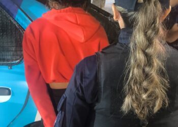 Demoraron a una mujer con pedido de captura de la provincia de Córdoba