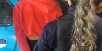 Demoraron a una mujer con pedido de captura de la provincia de Córdoba