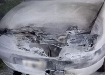 Sofocaron el incendio de un vehículo sobre avenida Lafinur