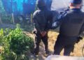 La Policía demoró a un sujeto por un hecho de violencia de género e incautó plantas de marihuana