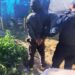 La Policía demoró a un sujeto por un hecho de violencia de género e incautó plantas de marihuana