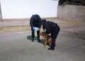 Tras un rastreo de un can de la Policía, localizaron a una bebé que era buscada