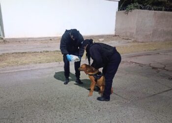 Tras un rastreo de un can de la Policía, localizaron a una bebé que era buscada