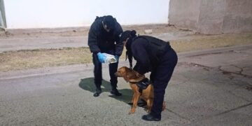 Tras un rastreo de un can de la Policía, localizaron a una bebé que era buscada