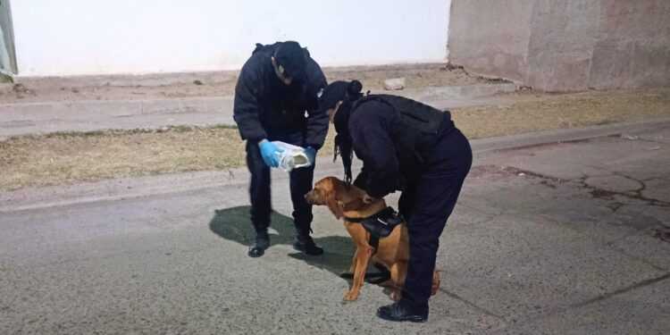 Tras un rastreo de un can de la Policía, localizaron a una bebé que era buscada