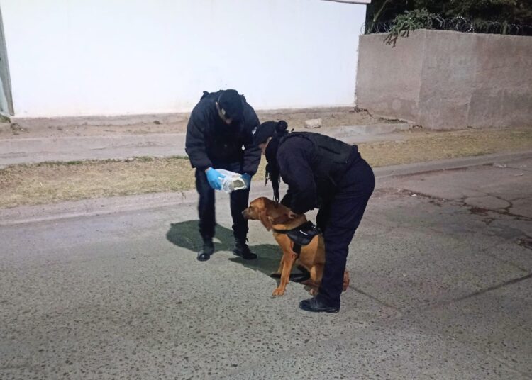 Tras un rastreo de un can de la Policía, localizaron a una bebé que era buscada