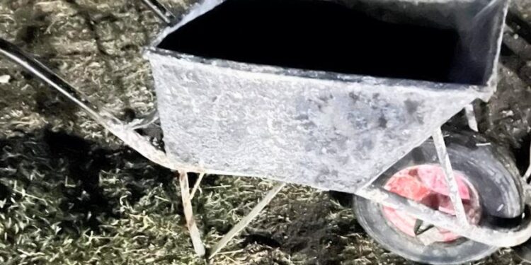 Se llevaban dos carretillas, la policía los interceptó y pudieron recuperarlas