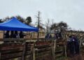 Causa por abigeato: Realizaron cinco allanamientos y secuestraron 16 bovinos, un camión y diversos elementos de interés para la investigación