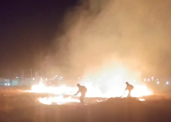 Sofocaron un incendio de malezas en un descampado