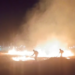 Sofocaron un incendio de malezas en un descampado