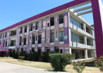 Detectan un caso de encefalitis herpética en San Luis