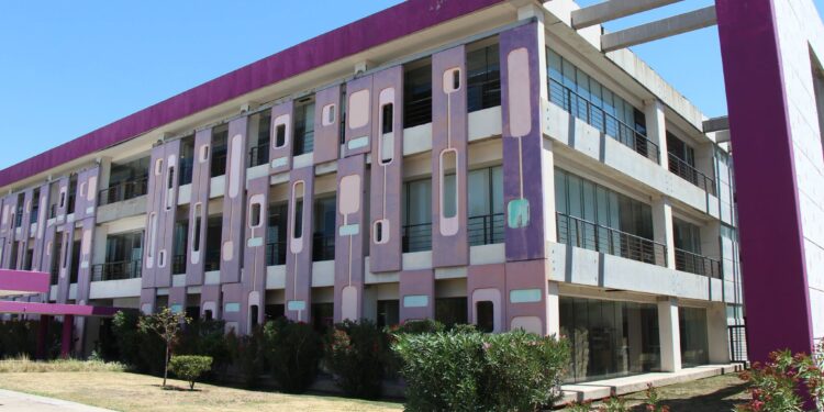 Detectan un caso de encefalitis herpética en San Luis