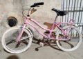 Demoraron a dos jóvenes que sustrajeron una bicicleta infantil; el rodado fue recuperado
