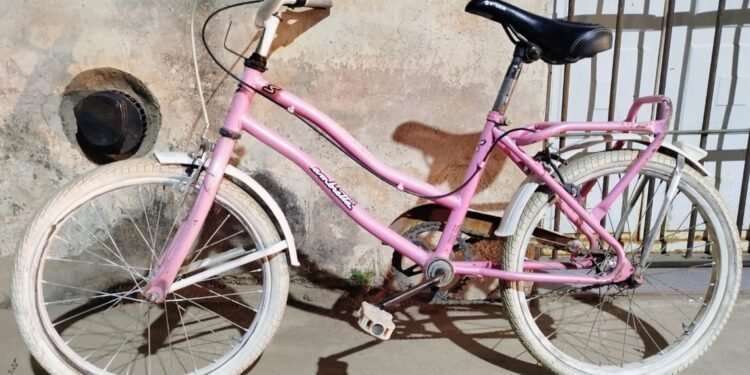 Demoraron a dos jóvenes que sustrajeron una bicicleta infantil; el rodado fue recuperado