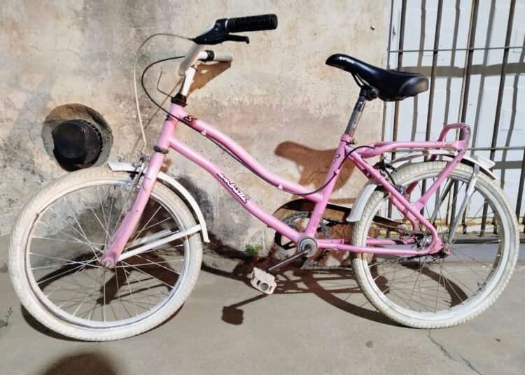 Demoraron a dos jóvenes que sustrajeron una bicicleta infantil; el rodado fue recuperado