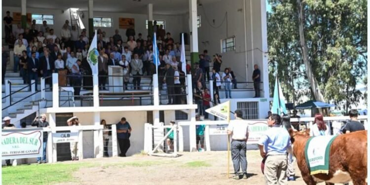 Del 8 al 11 de octubre, San Luis vivirá una nueva edición de la Expo Rural