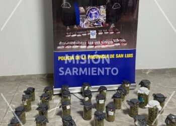 Tras un allanamiento, la Policía secuestró armas de fuego y municiones, incautó marihuana valuada en 14 millones de pesos y detuvo a una mujer